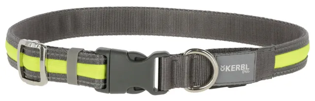 Kerbl Pet Flashing Collar Collare LED USB Rifrangente