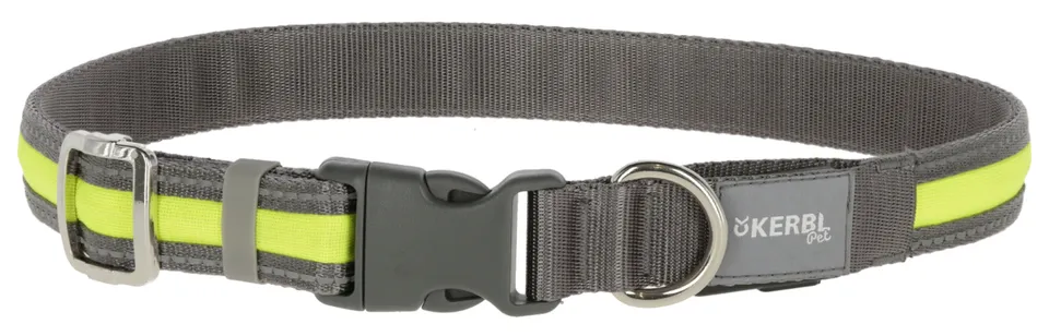 Kerbl Pet Flashing Collar Collare LED USB Rifrangente