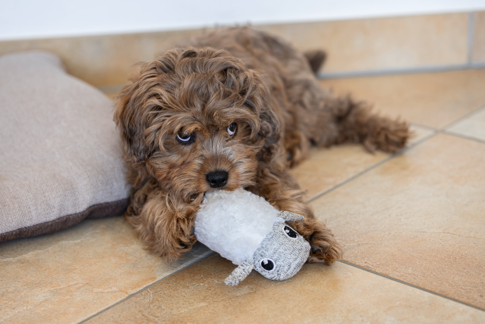 Kerbl Pet Puppy Toy peluche cucciolo morbido con sonaglio