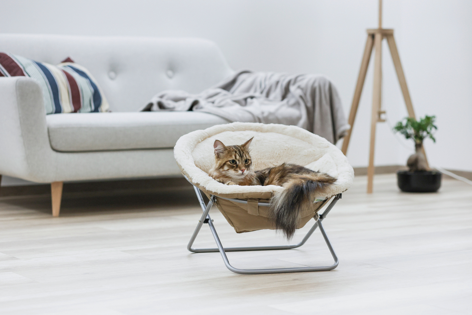 Kerbl Pet Alice Lettino Cuccia Gatto Rialzata Pieghevole
