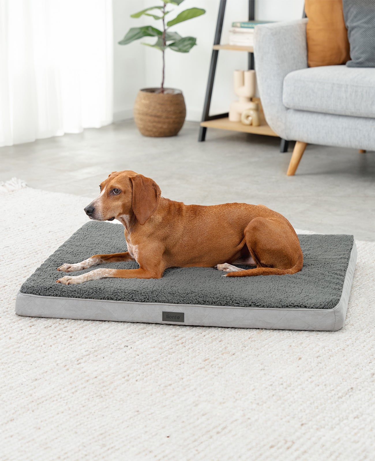 Lionto Hundebetten cuccia ortopedica grigia 76x51x8 cm peluche