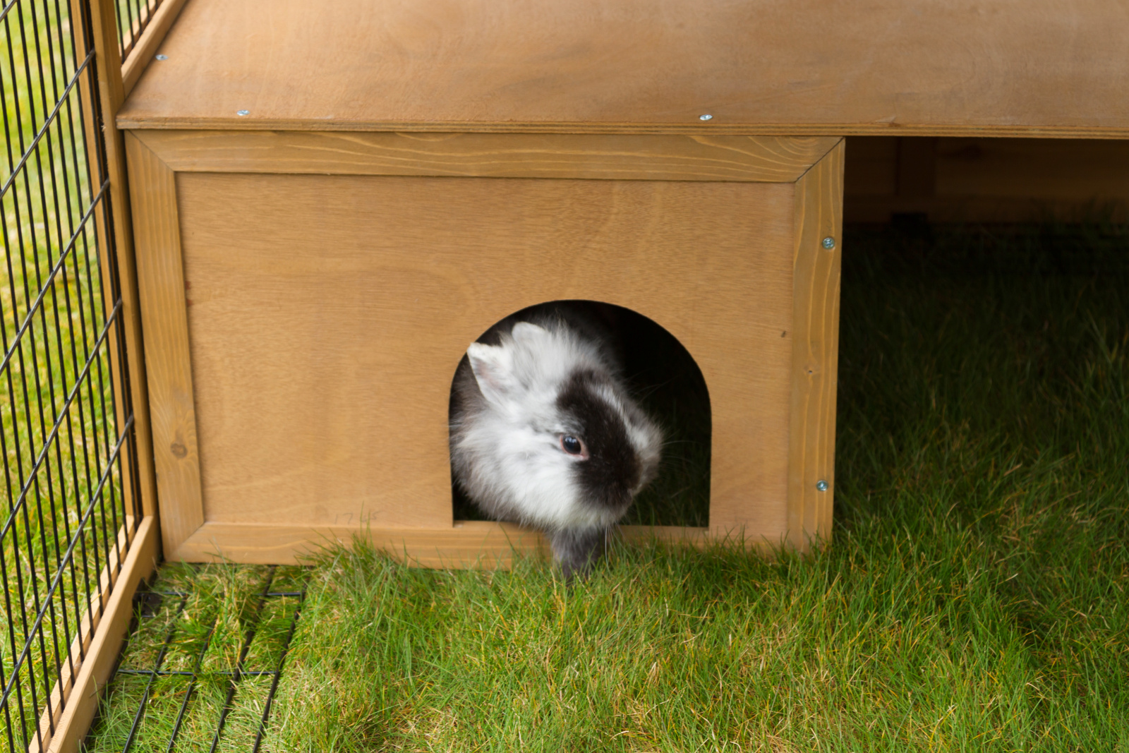 Kerbl Pet Outdoor Pen recinto esterno con barriera antifuga