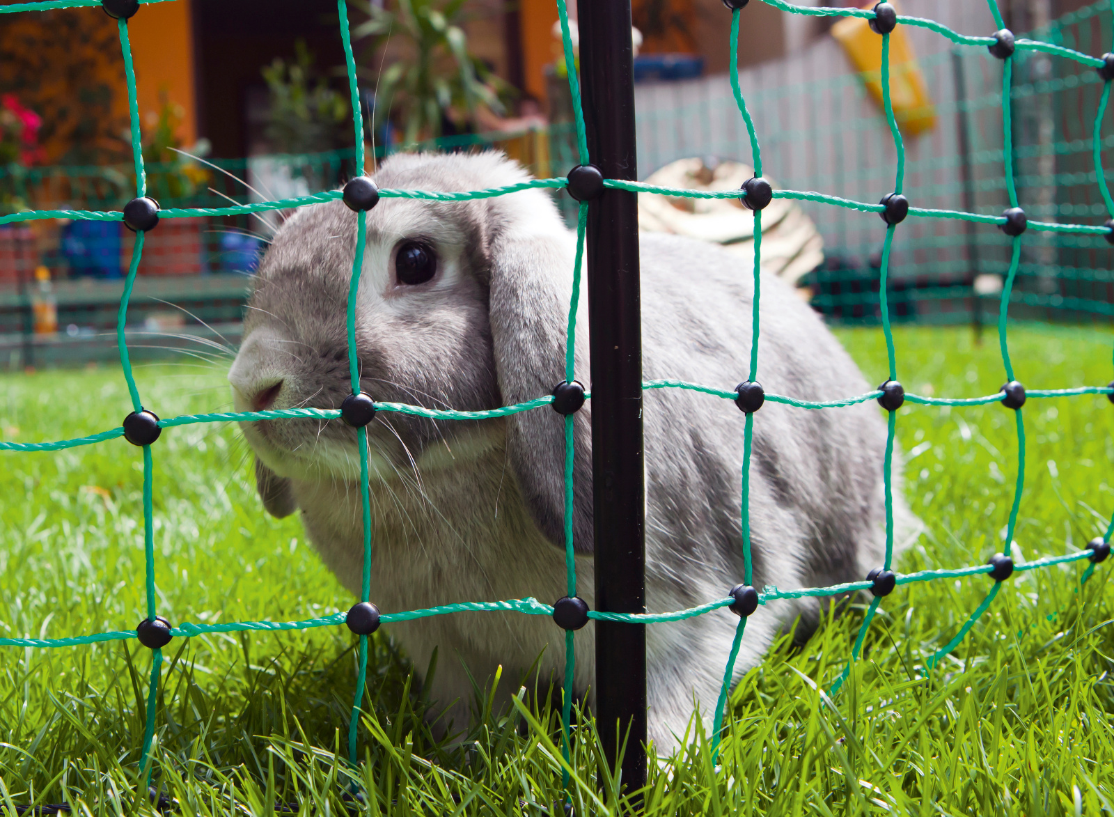 Kerbl Pet Rabbit Netting rete per conigli maglia stretta