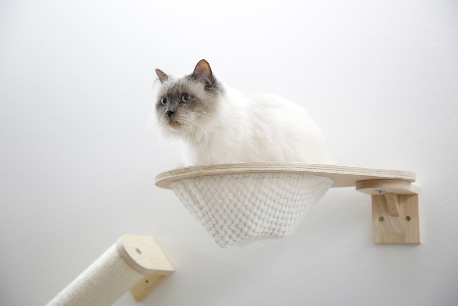 Kerbl Pet Anden parete arrampicata gatto in legno
