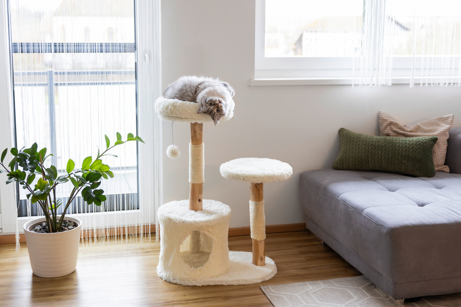 Kerbl Cat Scratch Lucia albero tiragraffi legno sisal con cuccia