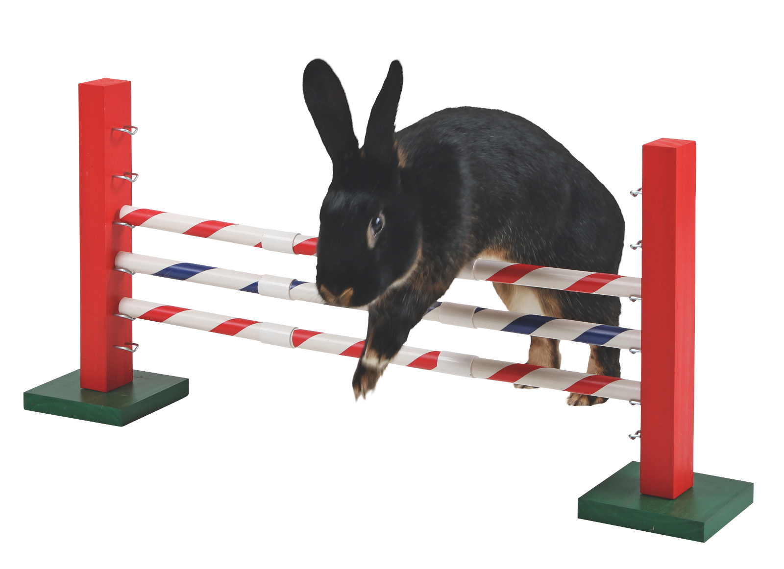 Kerbl Pet Rodent Agility Upright Jump gioco agility roditori legno