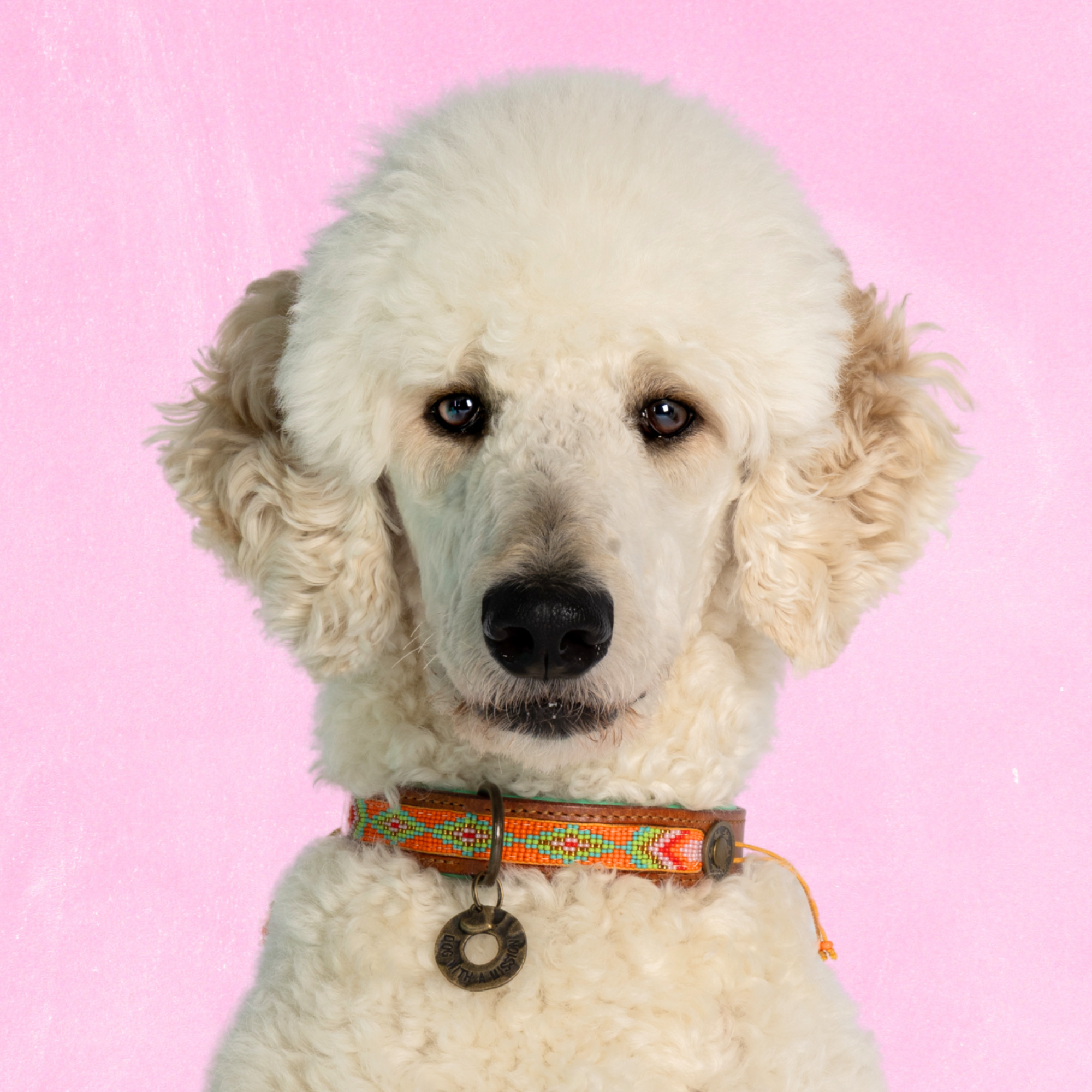 Dog with a Mission Tiger Lily Collare Cane L Arancione 40-47 cm