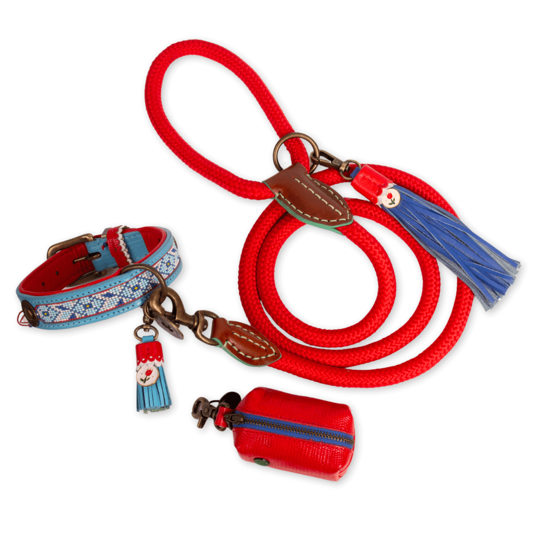 Dog with a Mission Dutchie Collare Pelle Blu L 40-47 cm