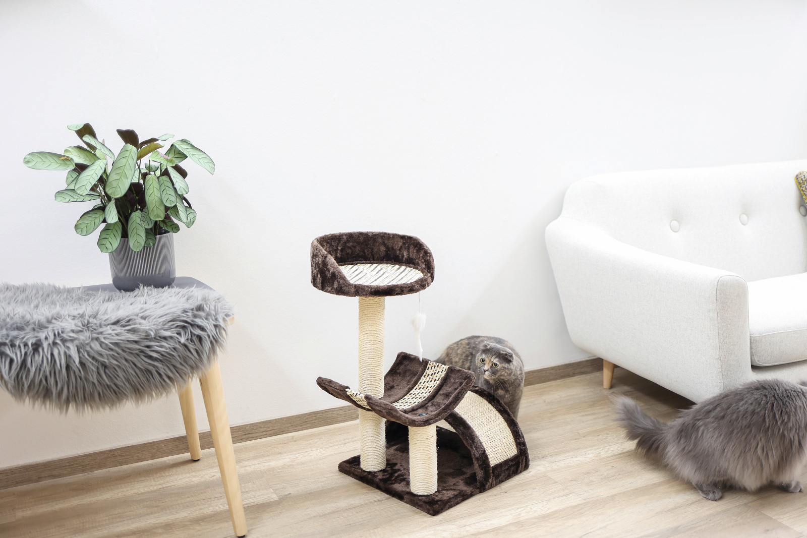 Kerbl Pet Safari albero tiragraffi gatto con cuccia 38x38 cm
