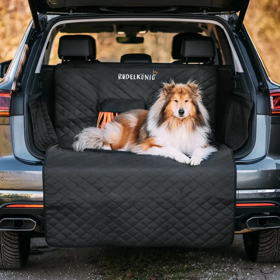 Rudelkönig Protezione Bagagliaio Cane Nera Basic Idrorepellente