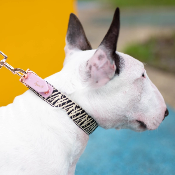 Toscani Vasari Collare per Cani Nero Lurex Oro Rosa
