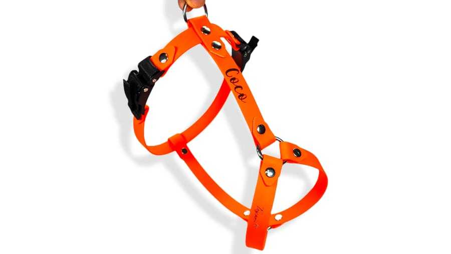 Toscani Waterproof pettorina H cane classic impermeabile