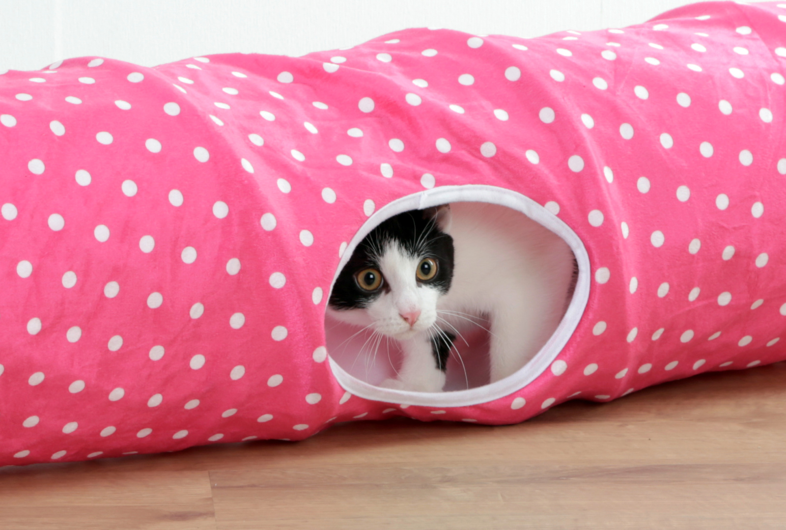 Kerbl Pet Puntino tunnel gatto nylon 3 uscite con pallina