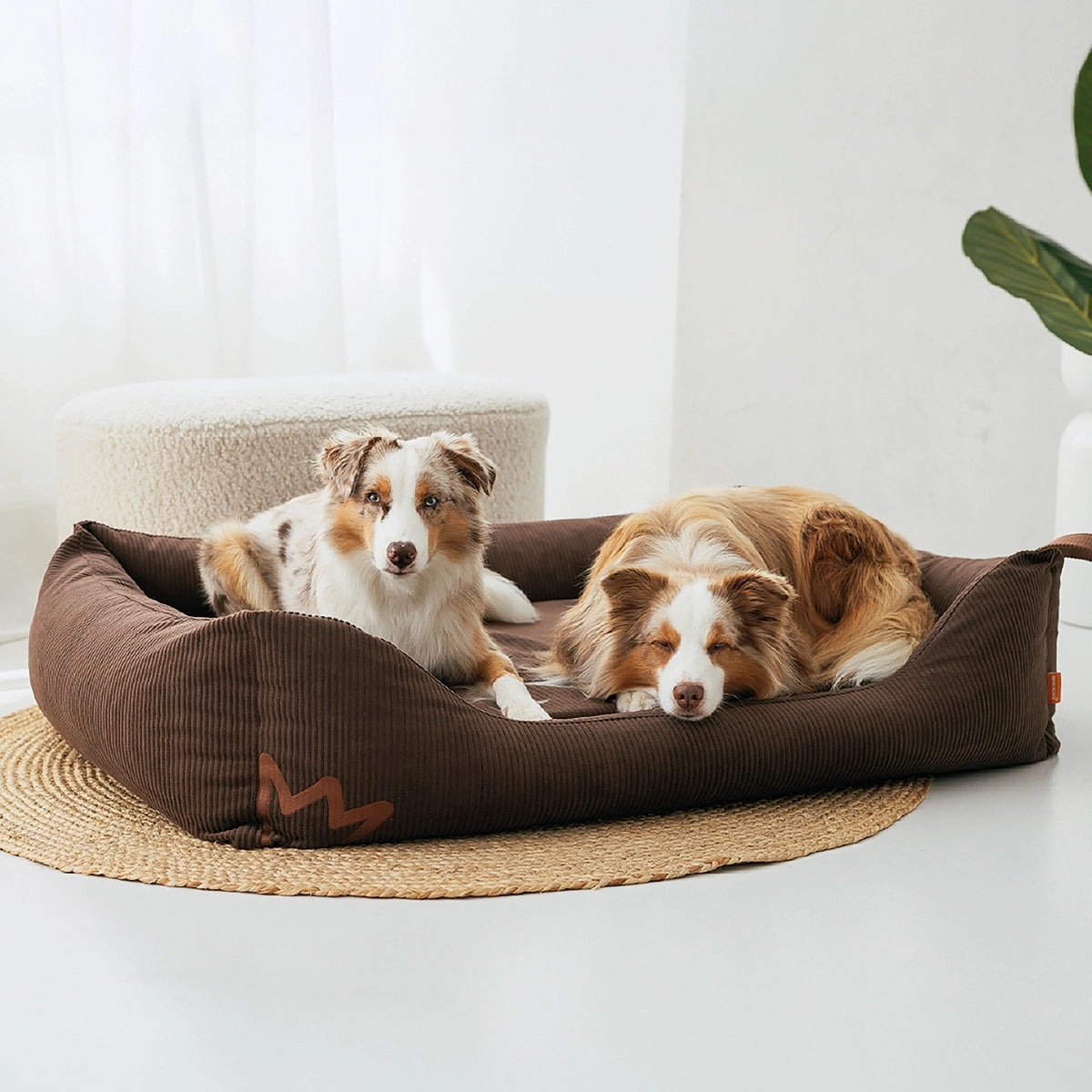 Rudelkönig Koye Cuccia Cane Marrone M Ortopedica Cord