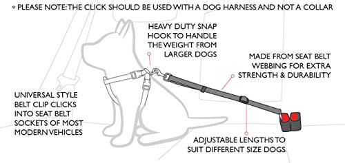 EzyDog Travel cintura sicurezza auto cane 43-65 cm nero