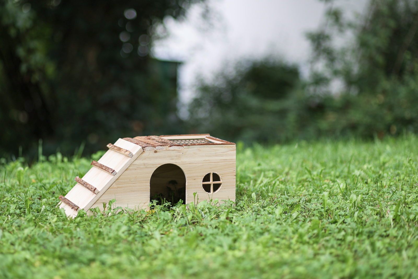 Kerbl Pet Rodent House casetta legno roditori con rampa