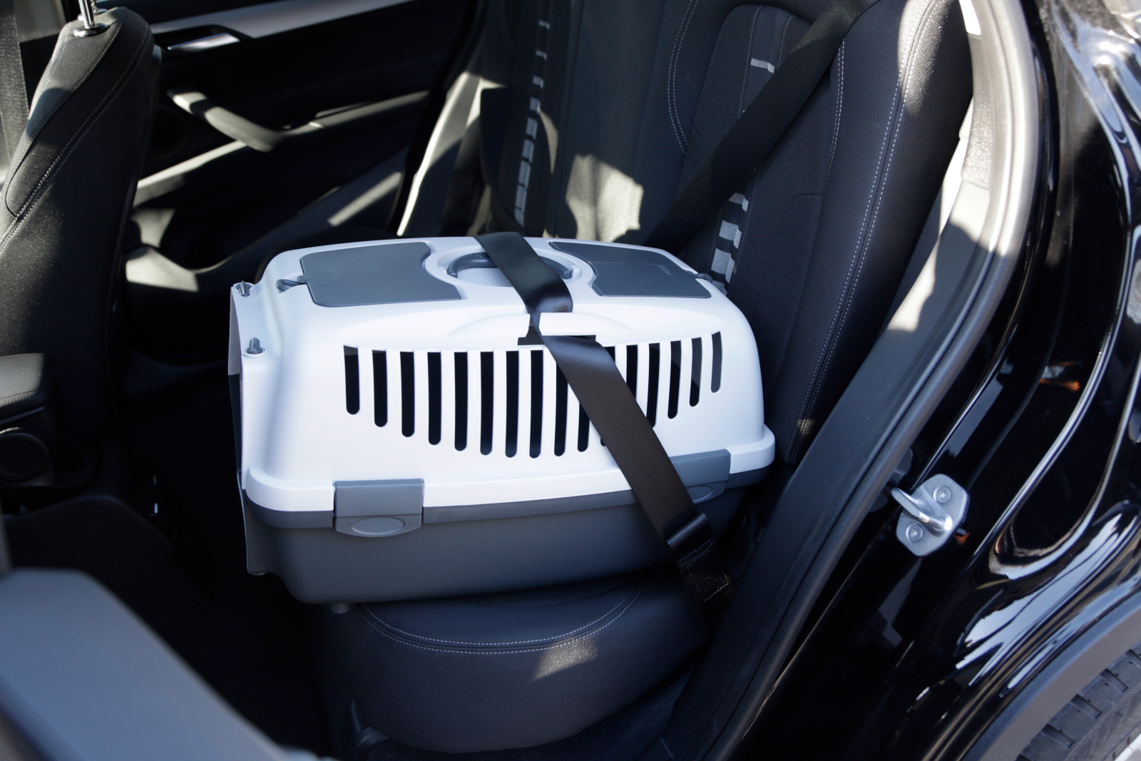 Kerbl Dog Transport Gulliver trasportino cani gatti auto