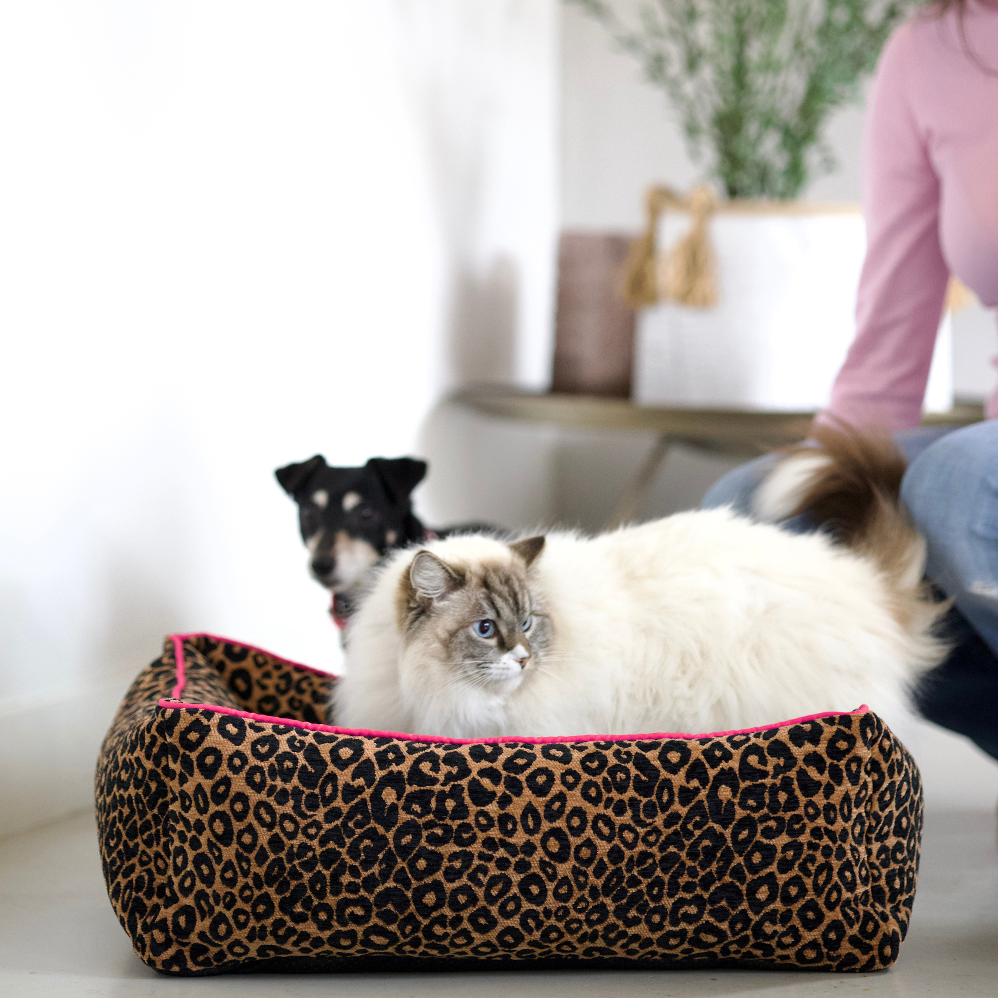 Dog with a Mission Lazy Leopard cuccia cane S leopardo