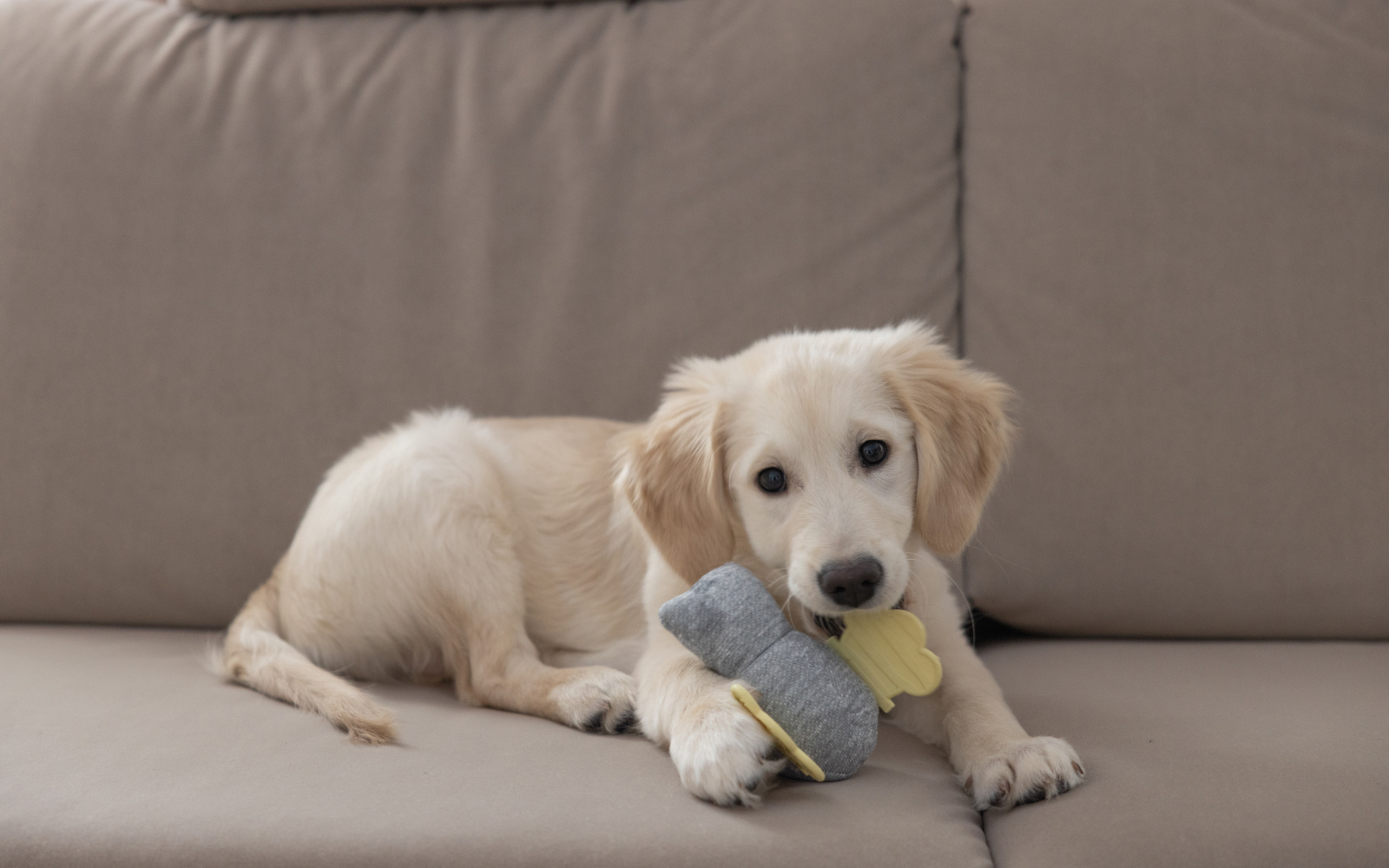 Kerbl Pet Puppy Toy peluche cucciolo morbido con sonaglio