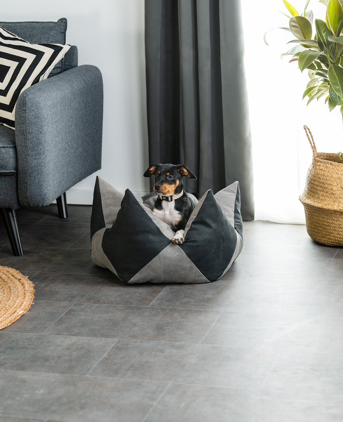 Lionto Hundebetten cuccia corona 60x35 cm grigio antiscivolo