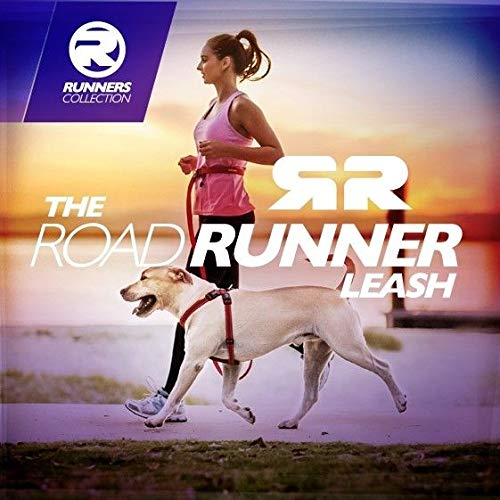 EzyDog Road Runner guinzaglio corsa cane mani libere nero