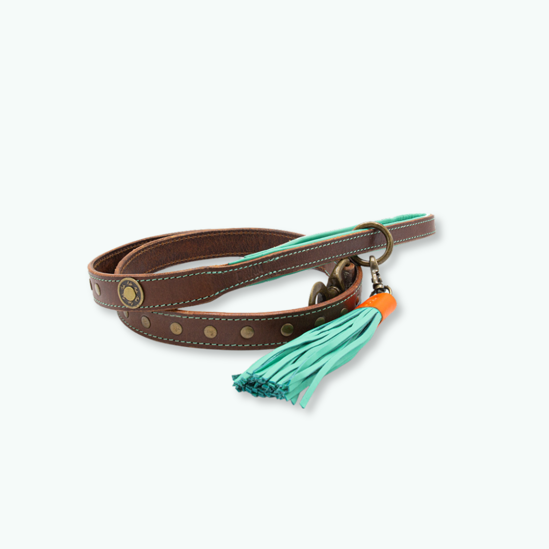 Dog with a Mission Joe guinzaglio cane L marrone 135 cm borchie
