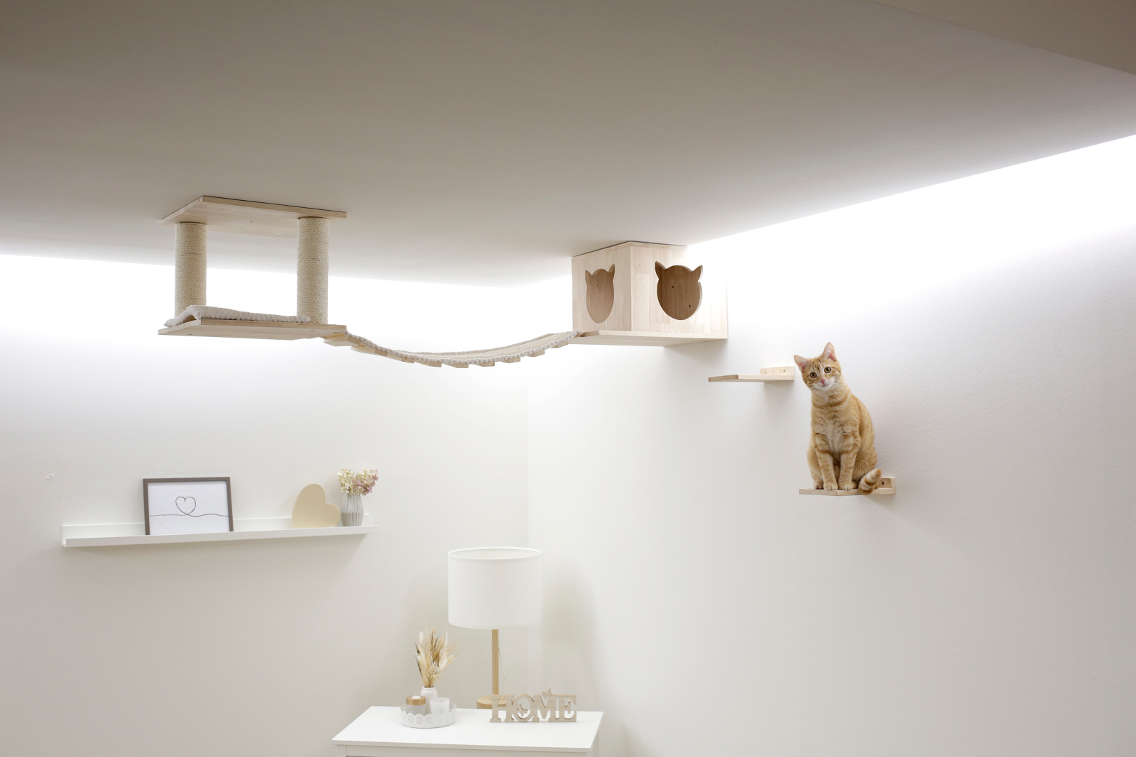 Kerbl Cat Scratch Top parete arrampicata gatto legno 5 pezzi
