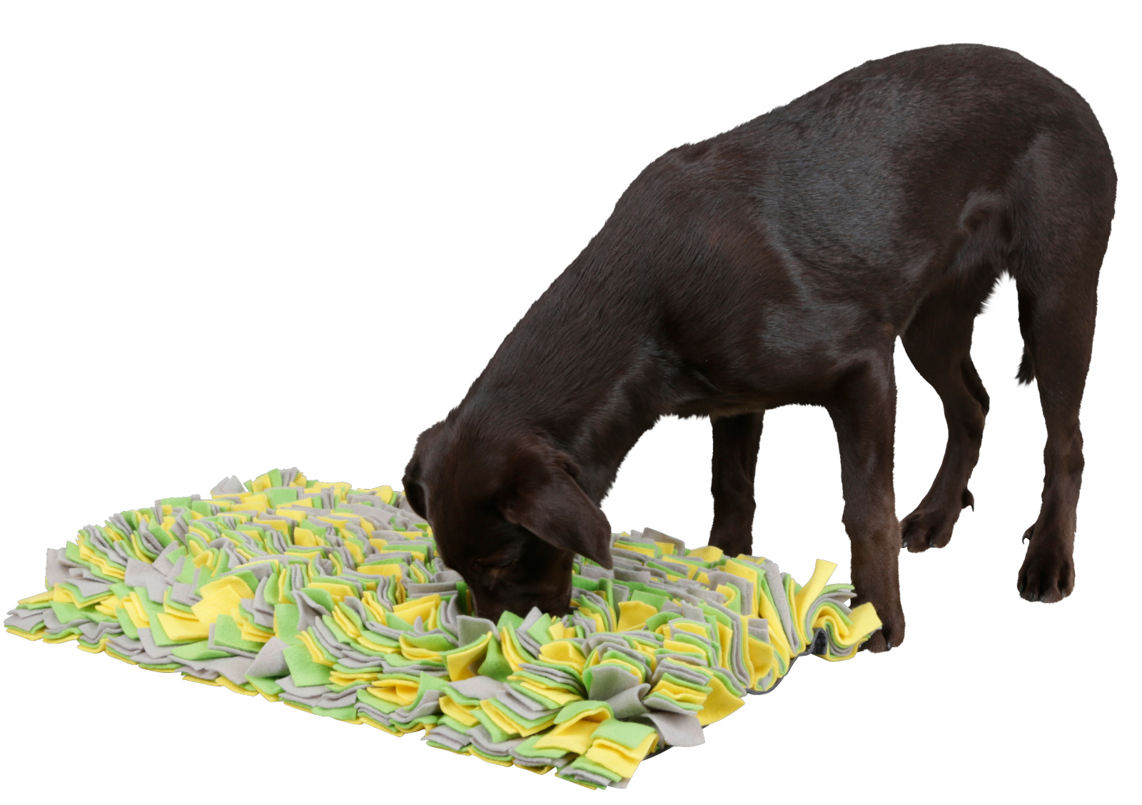 Kerbl Pet Sniff Rug Tappetino Olfattivo 50x30 cm Pile
