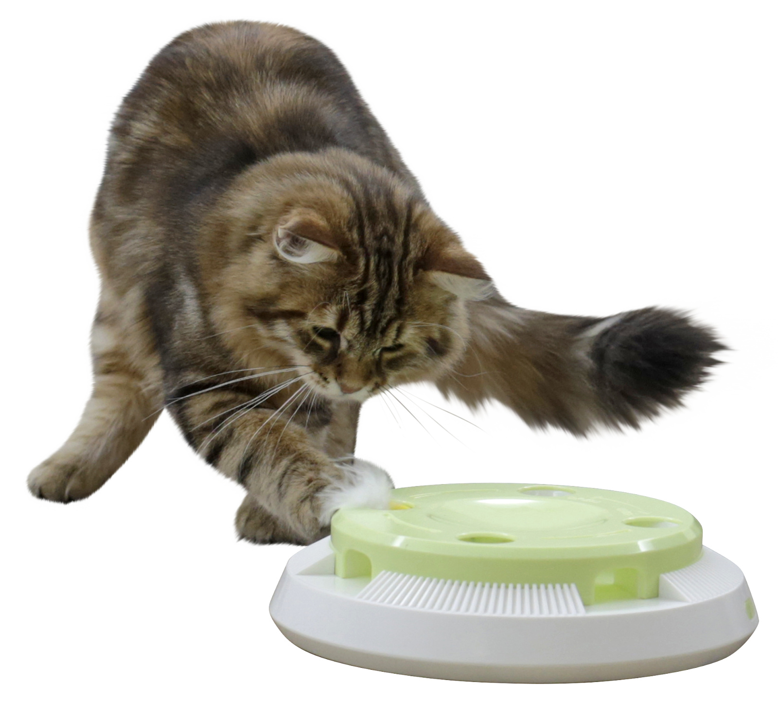 Kerbl Pet Pompom gioco gatto elettronico piuma rotante