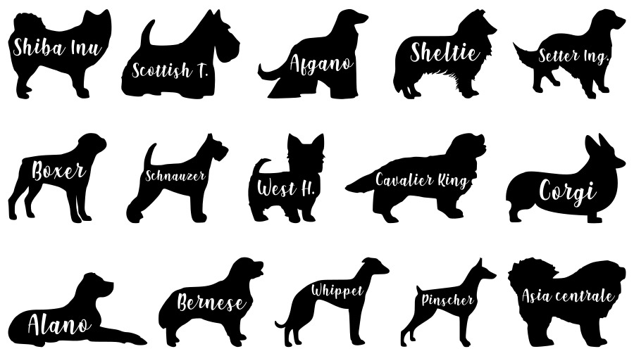 Toscani Gadget PET Plexy portachiavi personalizzato 5cm
