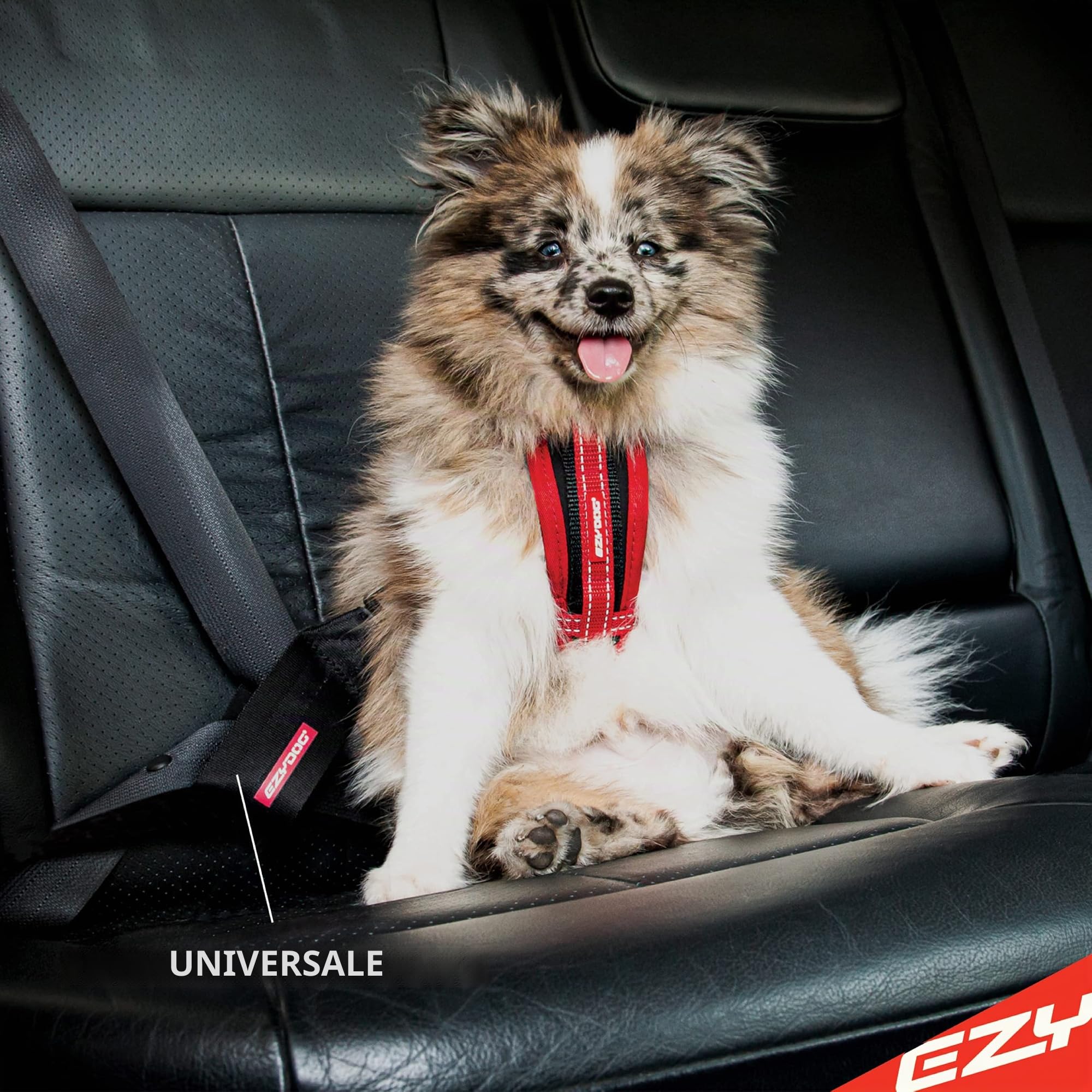 EzyDog Travel Accessories Cintura Auto Cane Nera Universale