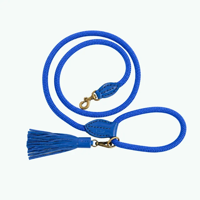 Dog with a Mission Indigo guinzaglio cane blu L 165 cm x 1,4 cm
