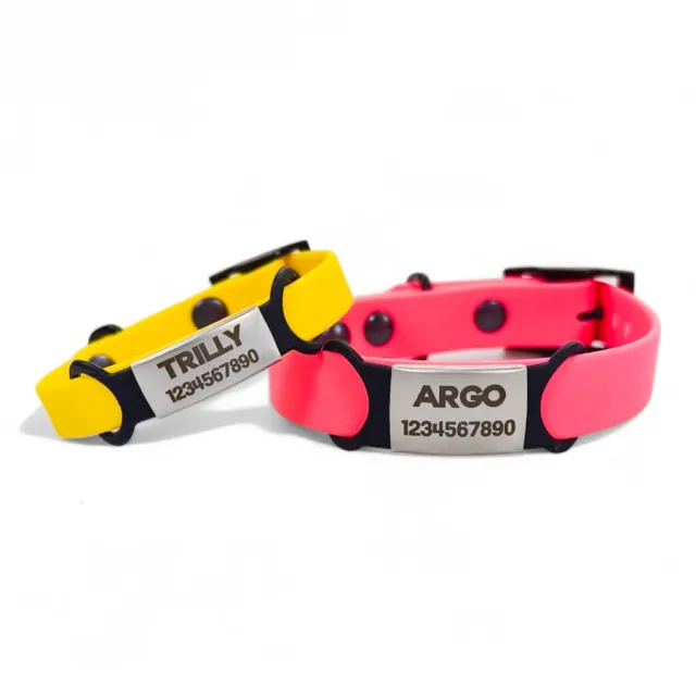 Toscani Gadget Medaglietta Cane Anti Rumore Acciaio Incisa Silenziosa