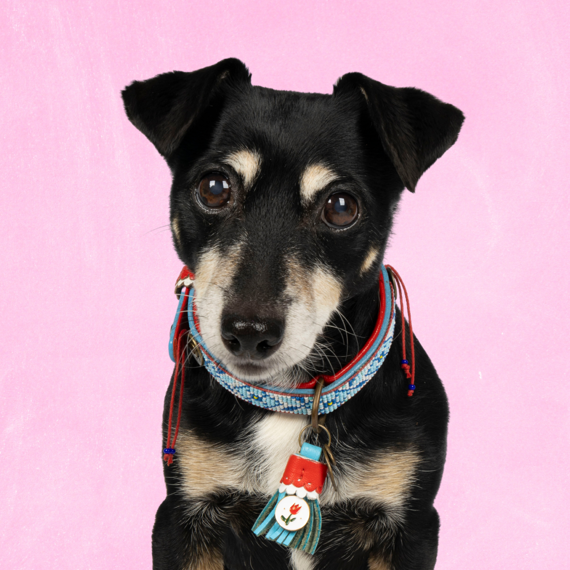 Dog with a Mission Dutchie S collare perline blu 30-33 cm