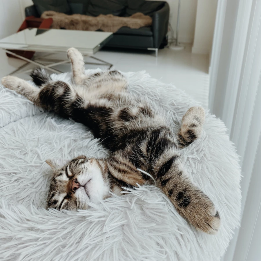 Toscani Vet Bed cuscino ciambella fluffy grigio chiaro 50 cm