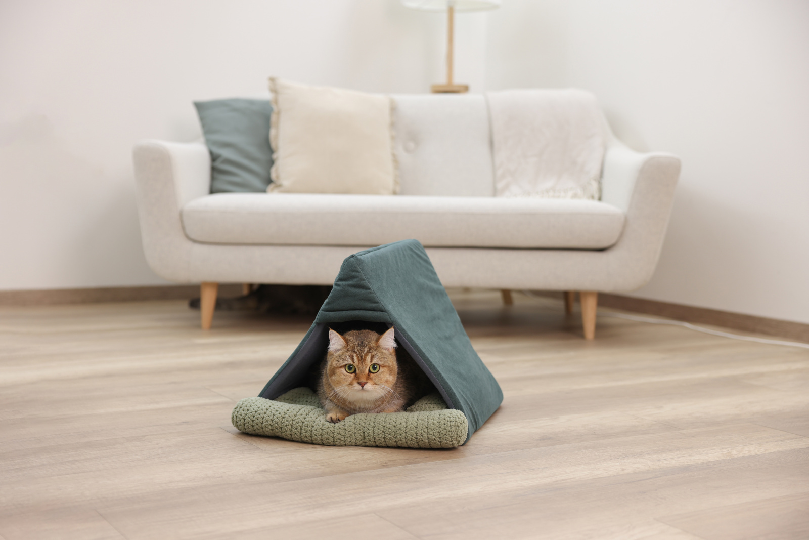 Kerbl Snugly Cave Anne Cuccia Tenda Gatto Pile Lavabile