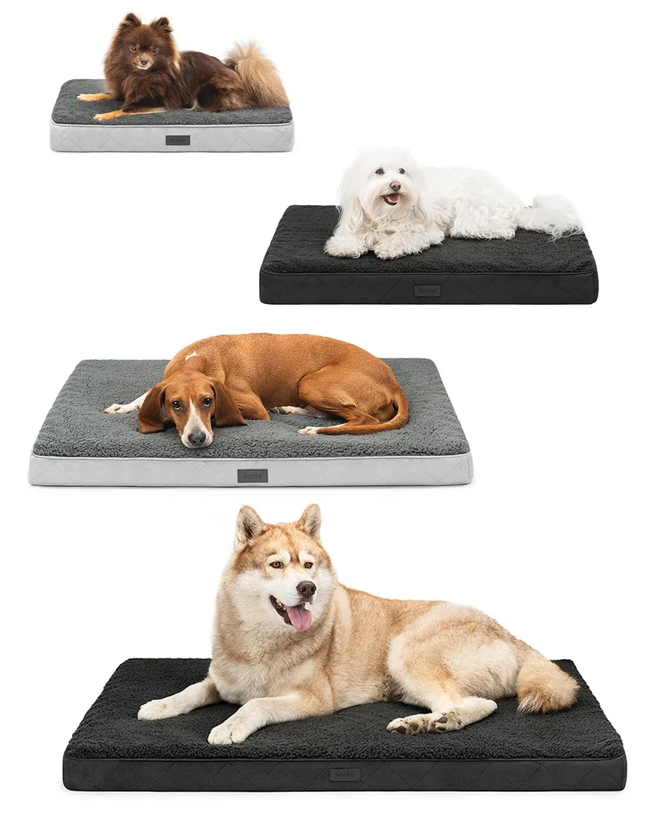 Lionto Hundebetten cuccia ortopedica grigia 76x51x8 cm peluche