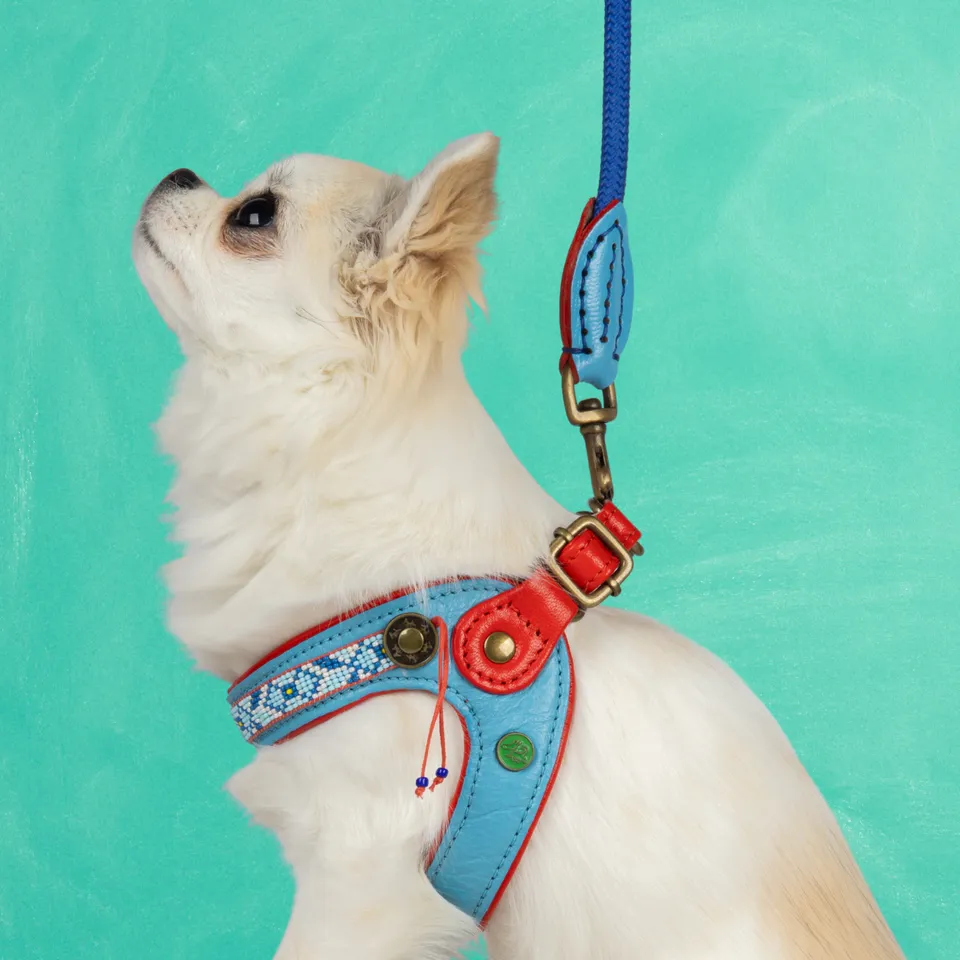 Dog with a Mission Dutchie Pettorina per Cani Misura 1 Blu