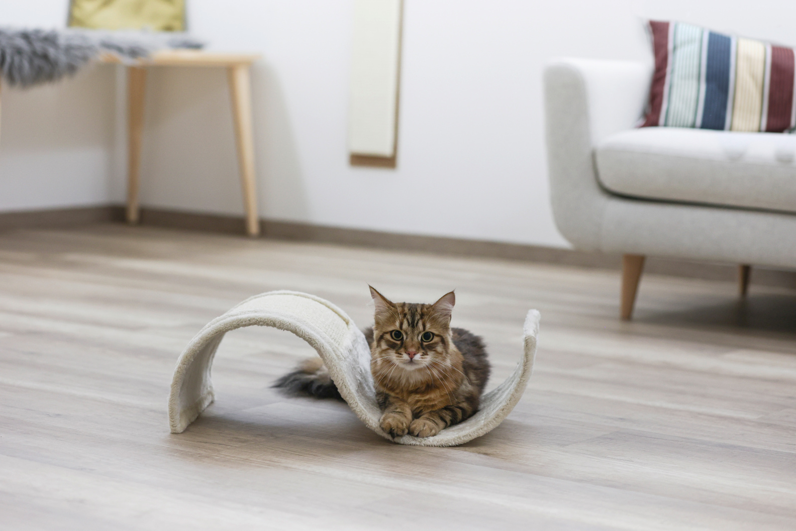 Kerbl Pet Wave tavola tiragraffi gatto sisal 26x20