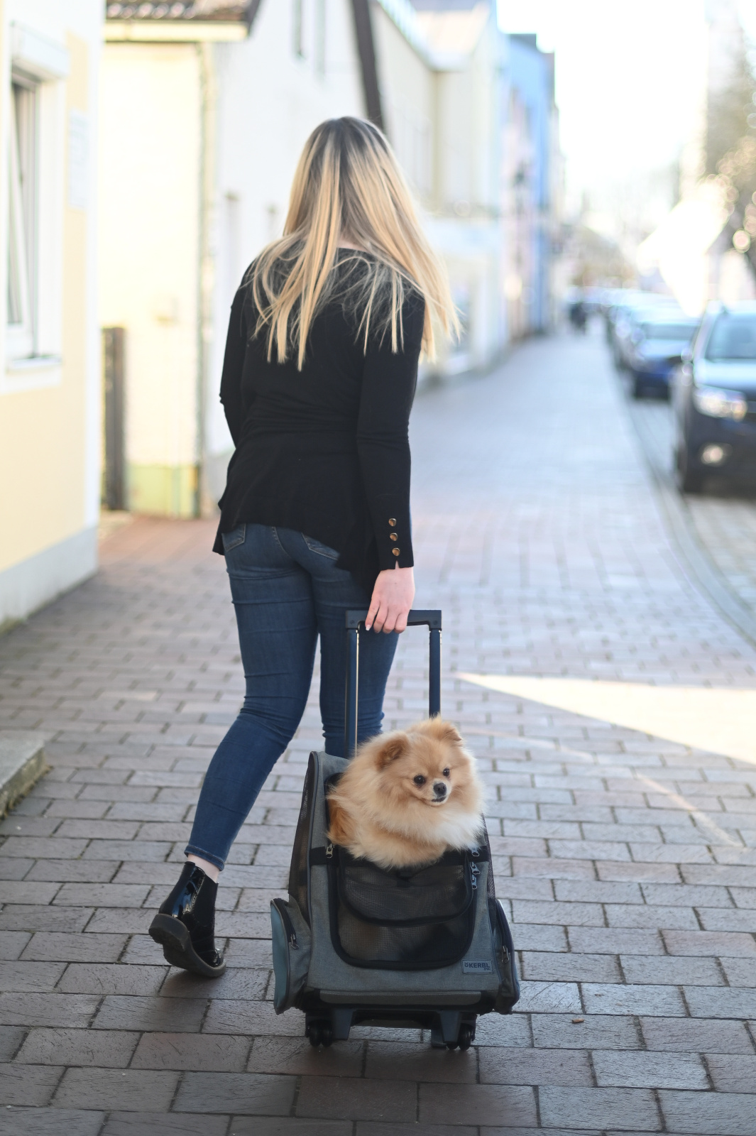 Kerbl Pet Dog Transport Trolley Vacation borsa trolley cani e gatti
