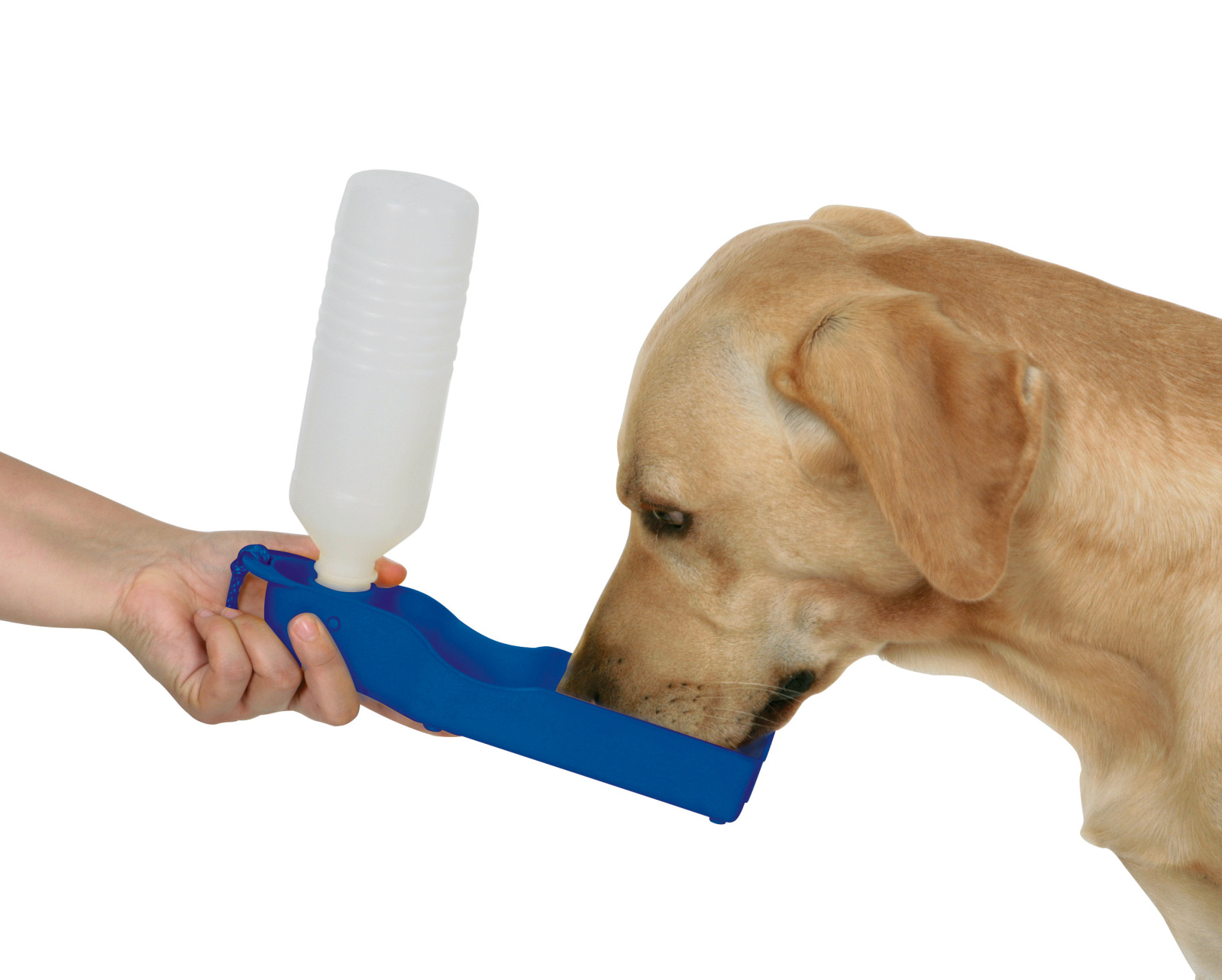 Kerbl Pet Dog Bowls Travel Bottle borraccia plastica