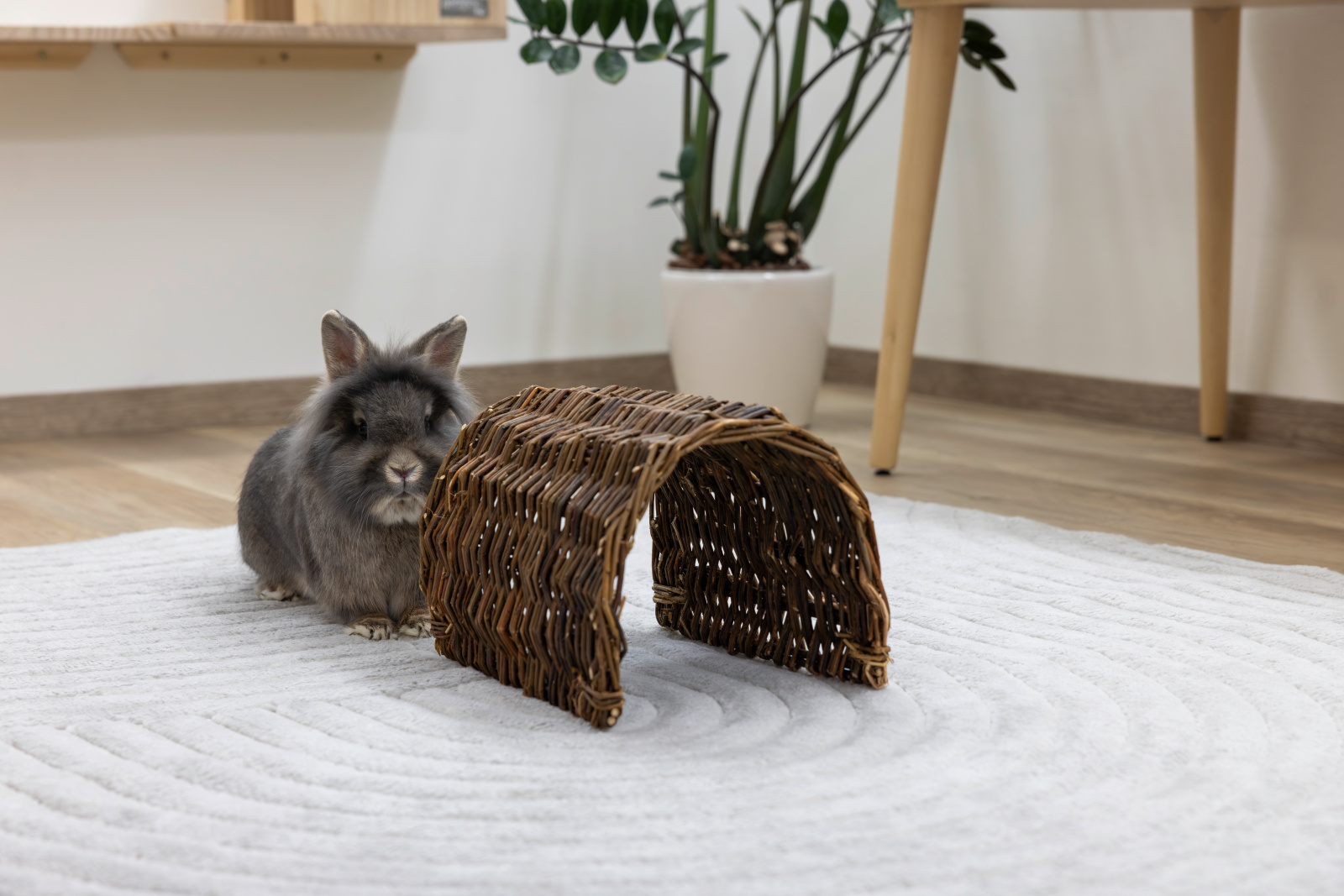 Kerbl Pet Grazing Tunnel tunnel per roditori in salice naturale