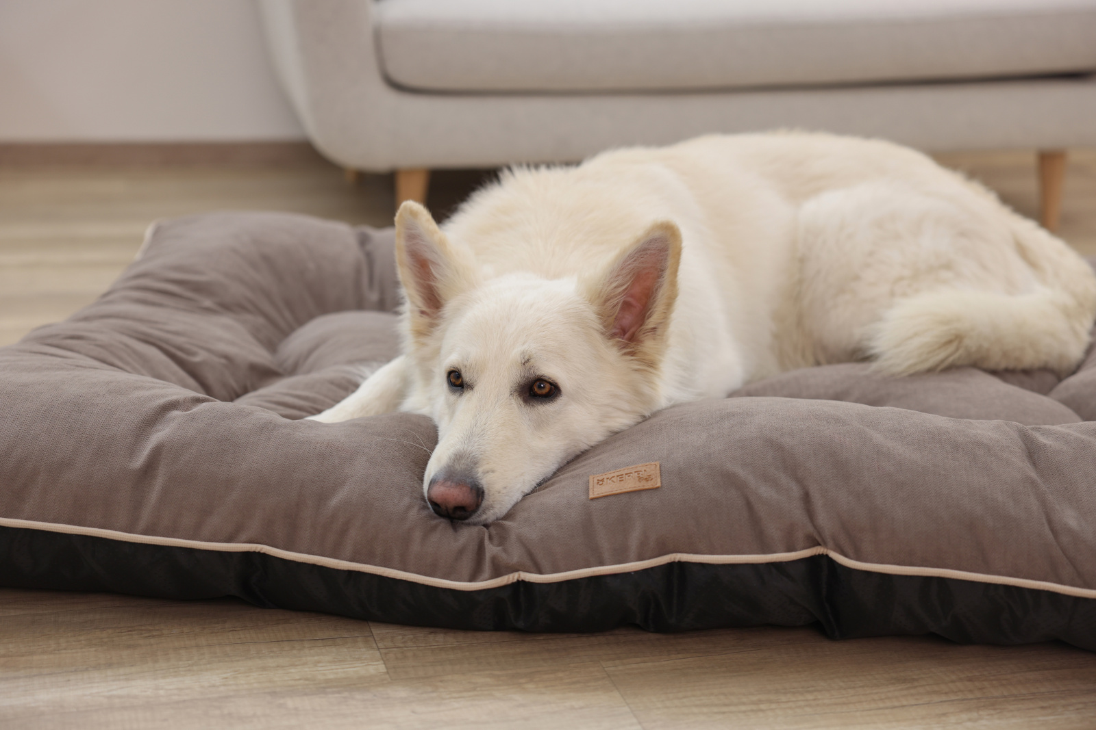 Kerbl Pet Benno cuscino cane ciniglia taglie grandi lavabile