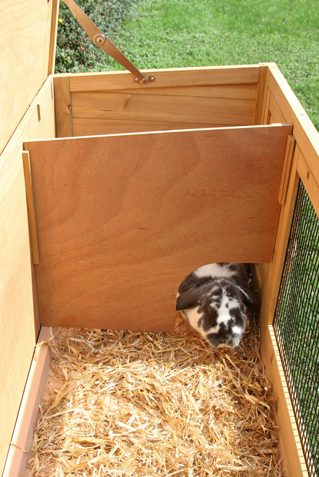 Kerbl Pet Rodent Buddy casetta conigli legno con vassoio