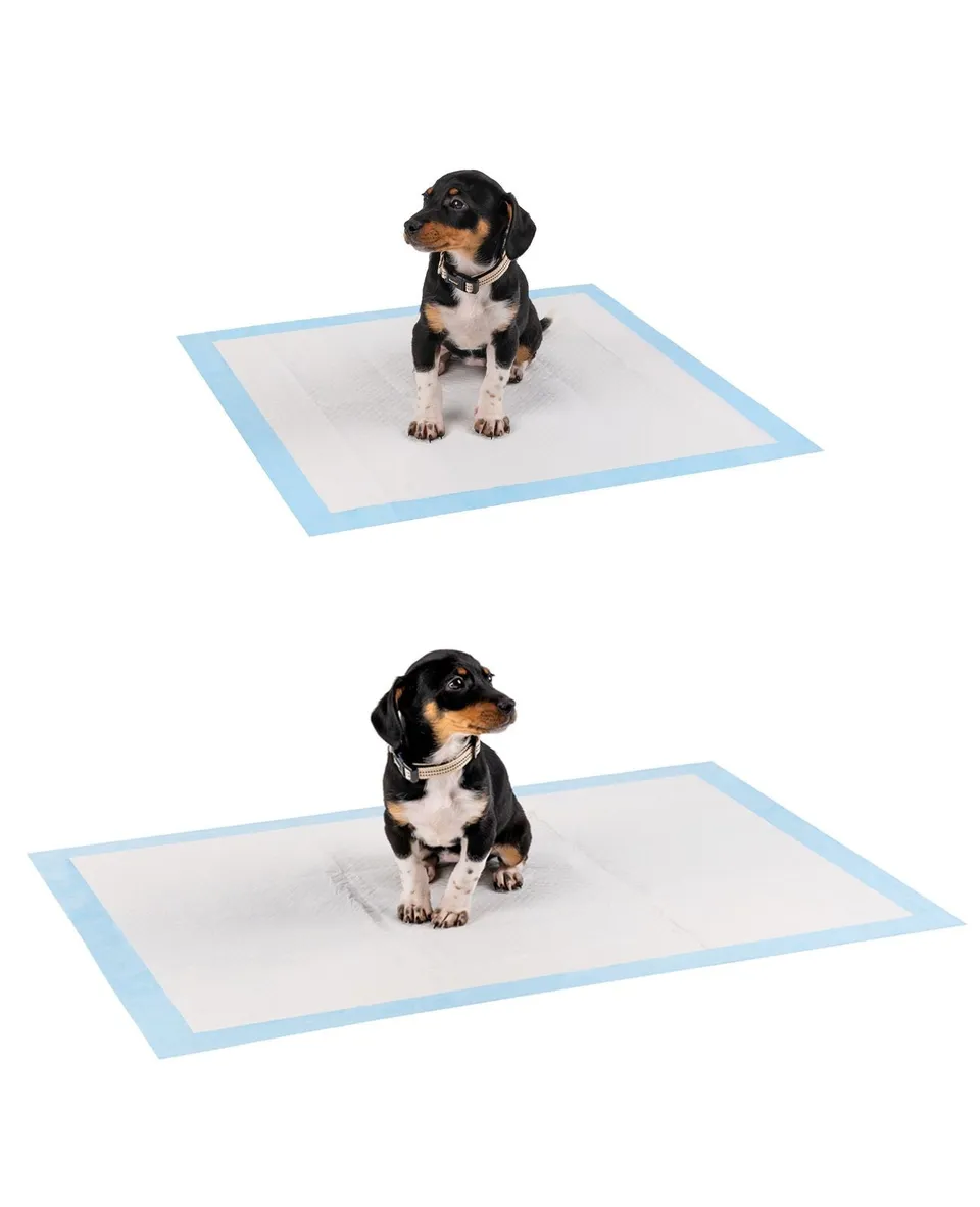 Lionto traverse cane assorbenti 60x60 cm 50 pezzi 6 strati