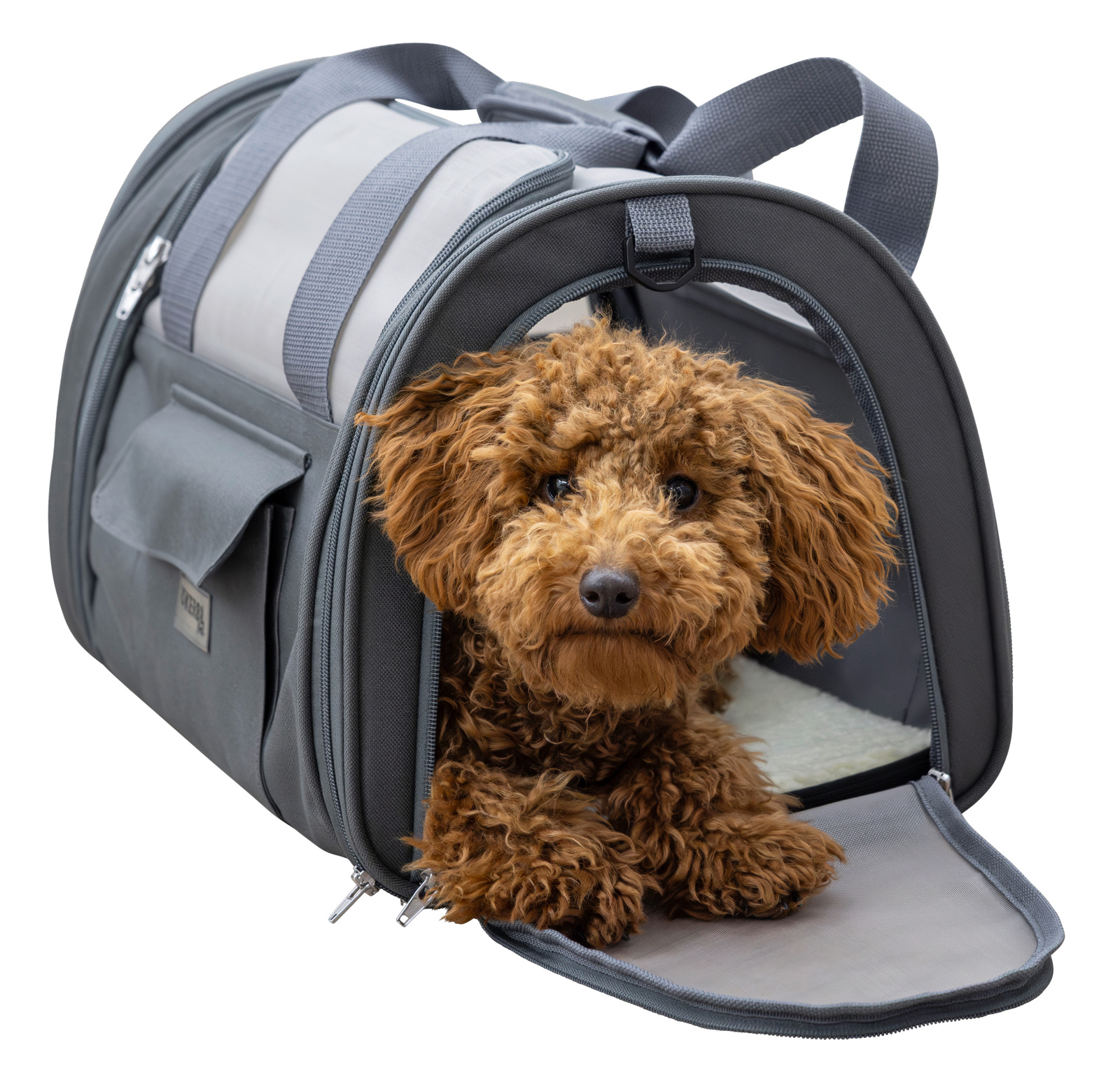 Kerbl Pet Vacation Air borsa trasporto cane gatto 42x25x25cm
