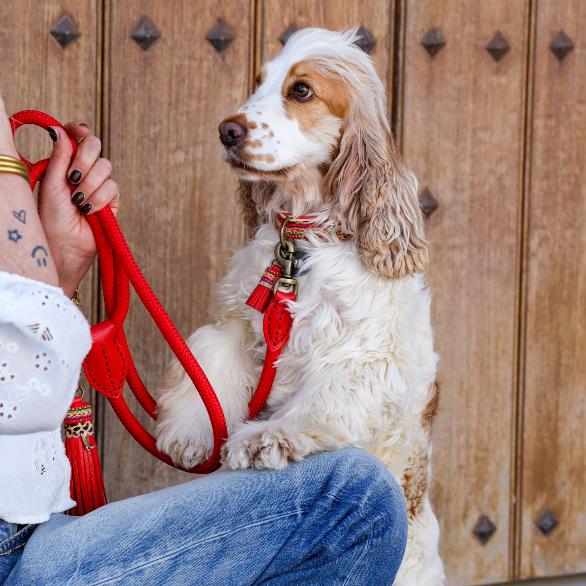 Dog with a Mission Gypsy charm per guinzaglio in pelle rossa