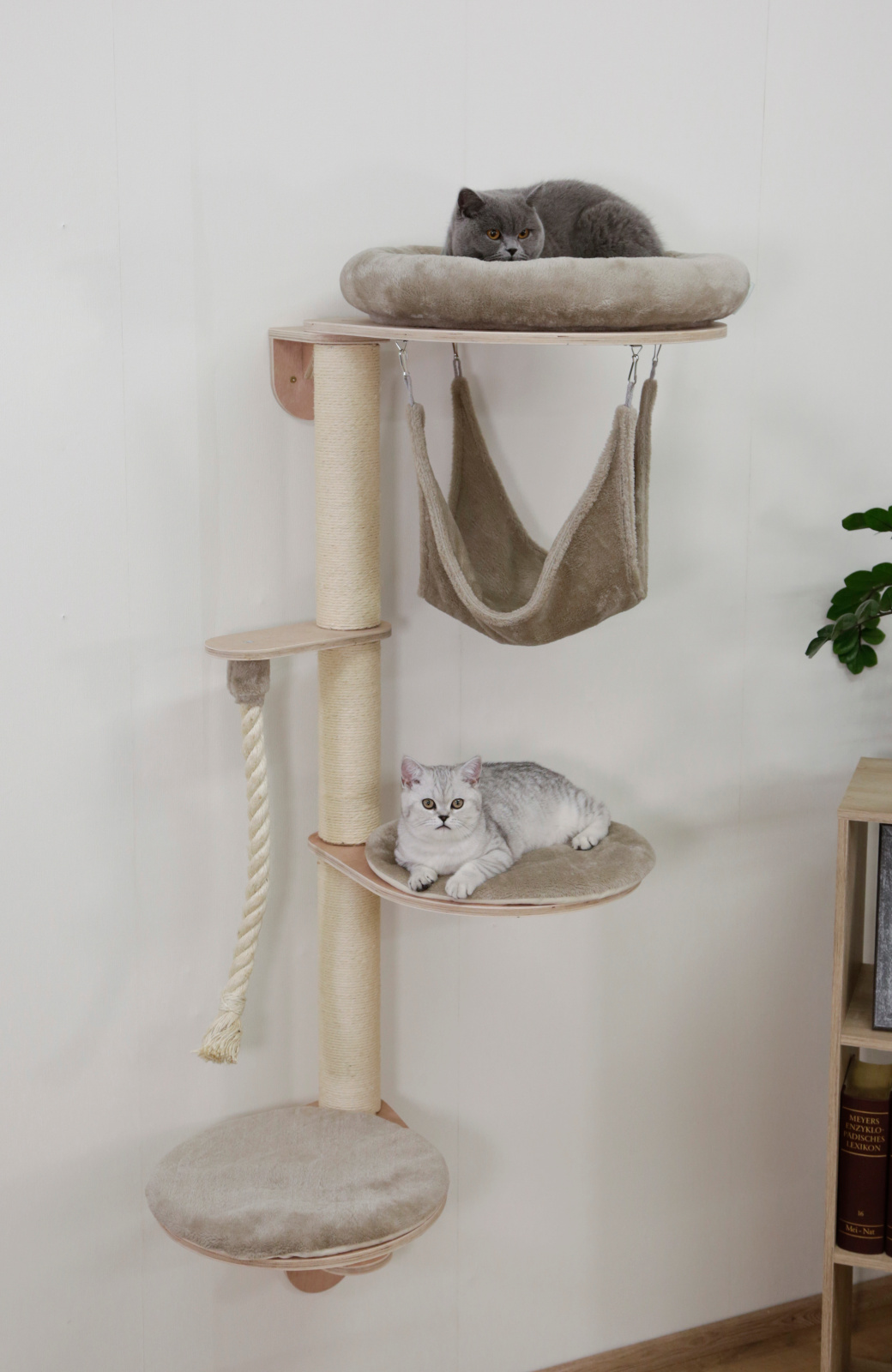 Kerbl Pet Dolomit Grappa Albero per Gatti da Parete Amaca