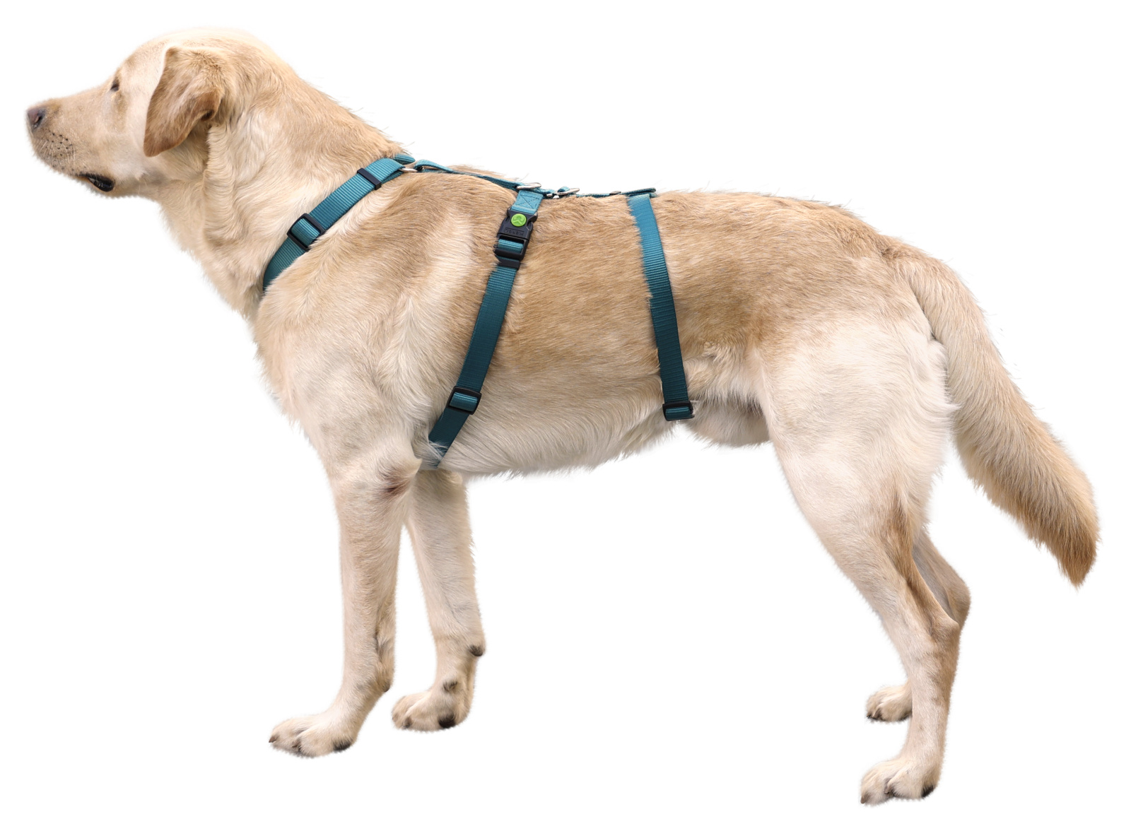 Kerbl Pet Panic Harness Miami pettorina antifuga nylon