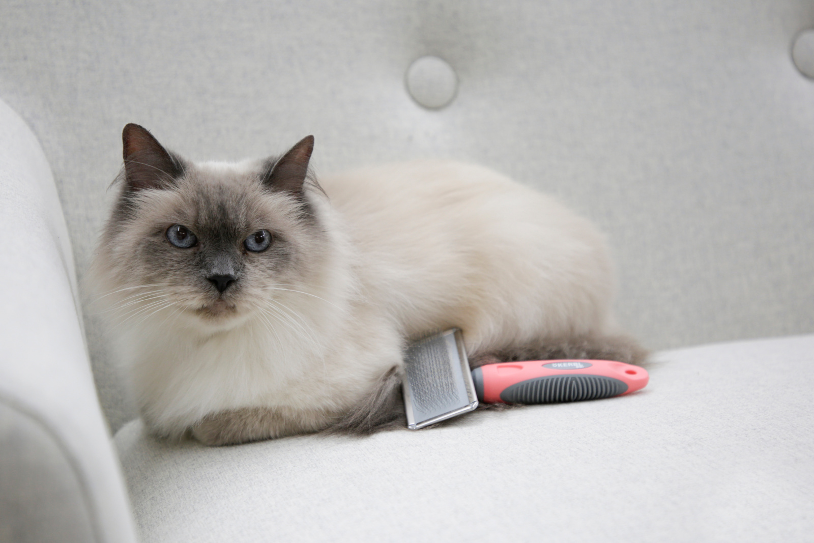Kerbl Pet Cat Care Soft Slicker Brush spazzola gatto sottopelo